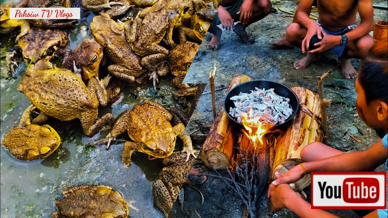 Poisonous Na Palaka Nakakain Pala-American Frog.