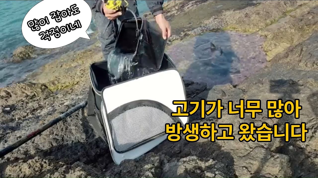 감성돔낚시중 이런대물이 나올줄은 몰랐습니다..인생고기라 해야 되나요??(fishing)