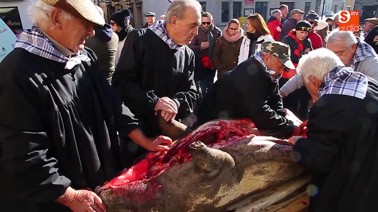 Fiesta de la matanza de Linares de Riofr&iacute;o