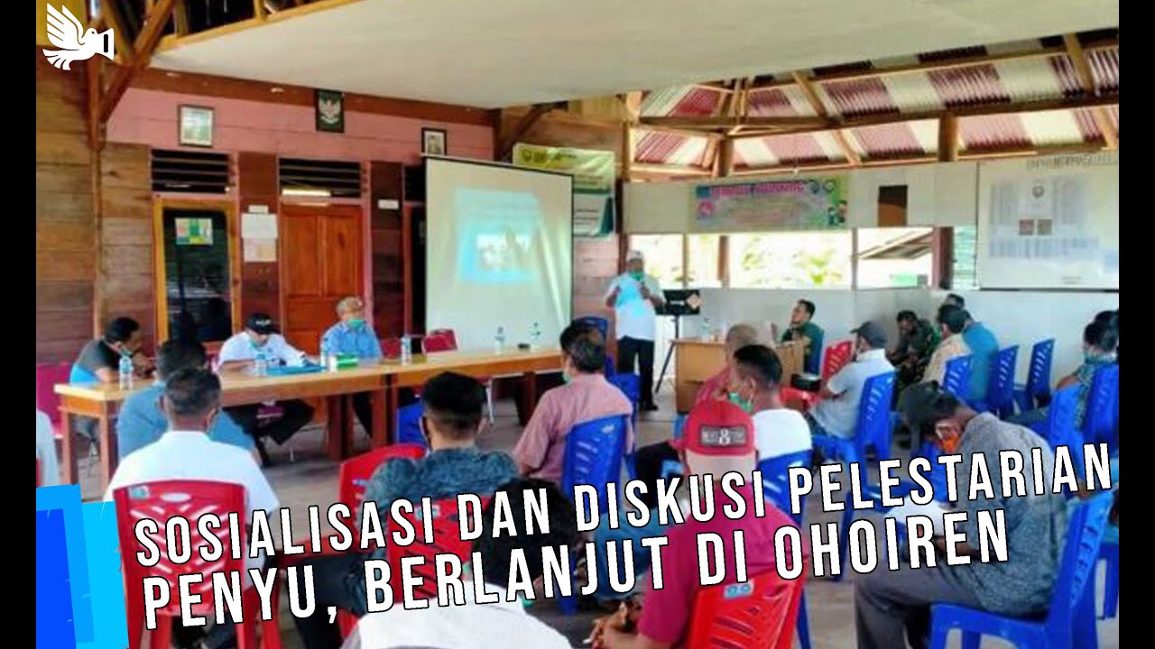 Sosialisasi dan Diskusi Pelestarian Penyu Berlanjut di Ohoiren