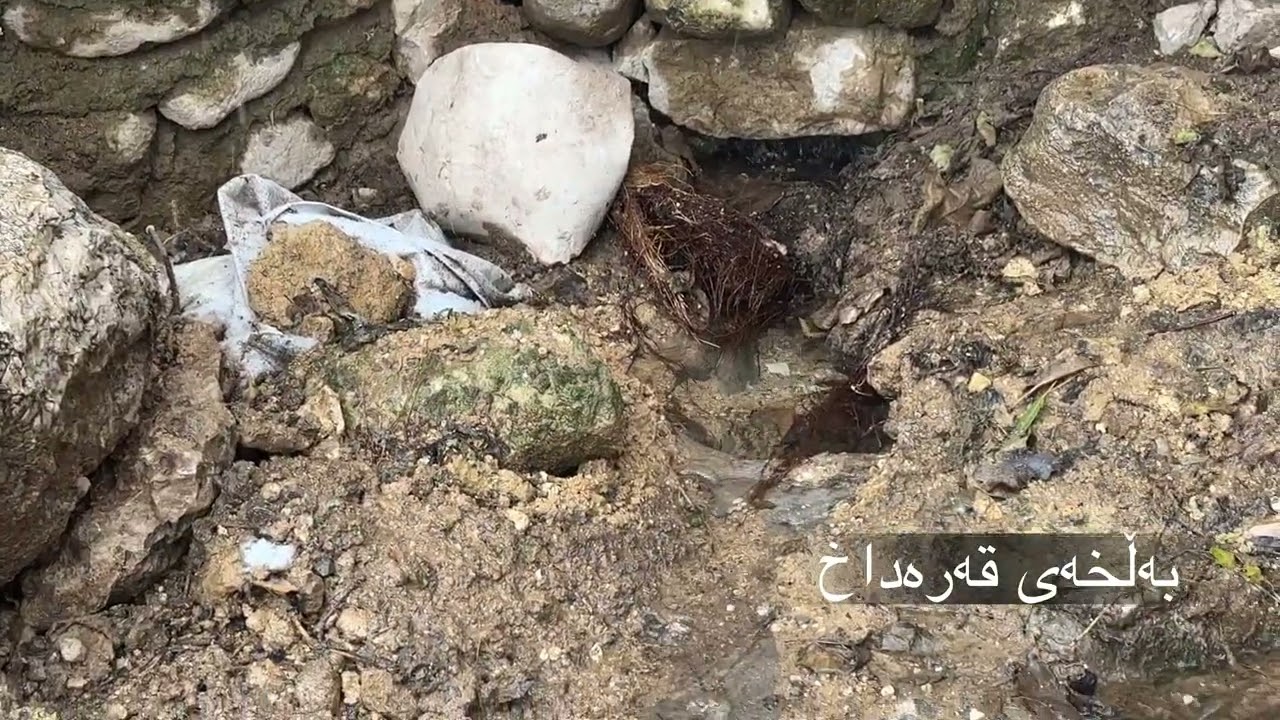 زیاد كردنی ئاوی حەوز و كانیەكەی گوندی بەڵخەی قەرەداخ ٢٤-١-٢٠٢٦