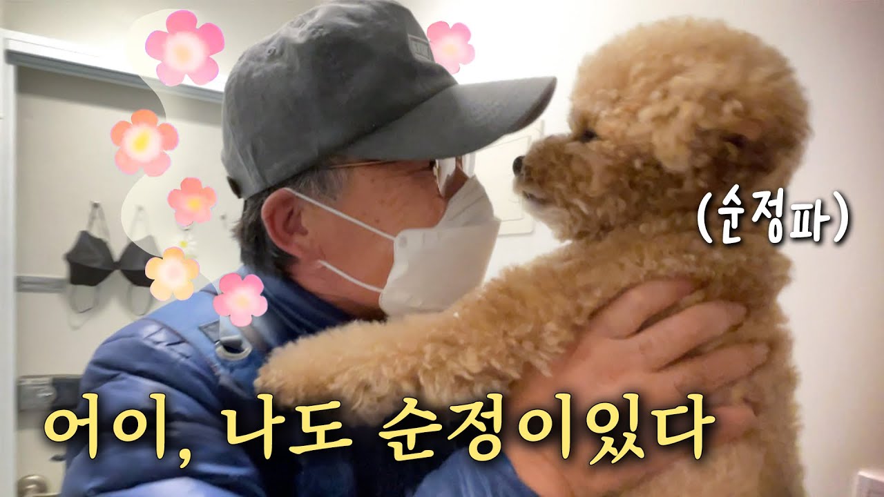 강아지 싫다던 아빠 아니고….아빠 싫다던 강아지ㅋㅋㅋㅋ