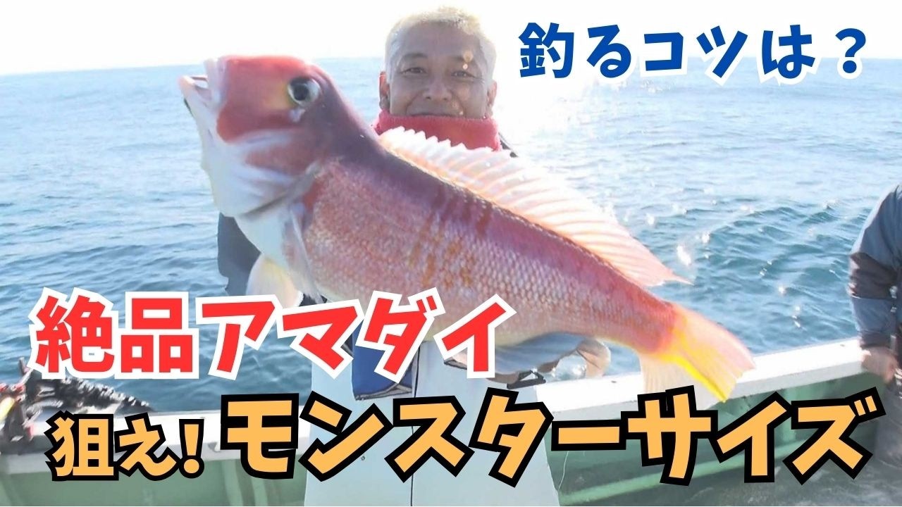 今が旬！亮さん、釣り人の憧れ・アマダイを狙う【田村亮の釣りまか！269】