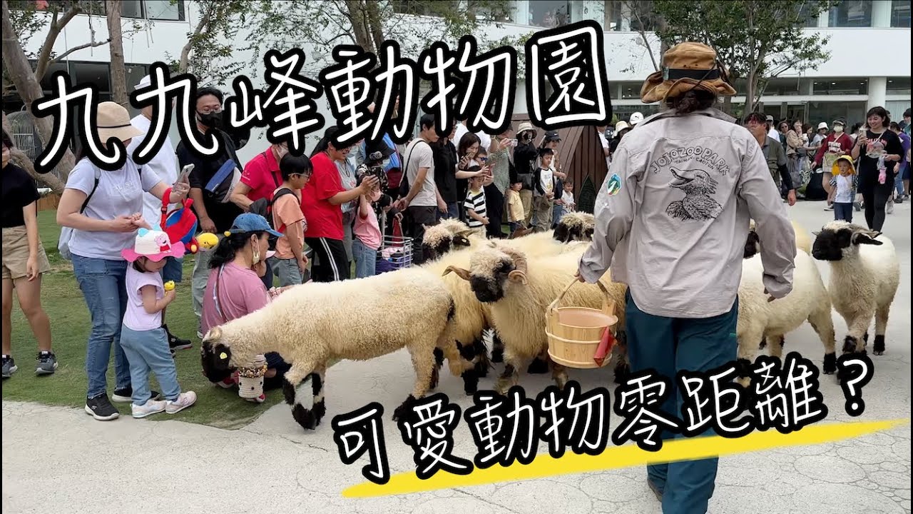草屯九九峰動物樂園｜帶孩子體驗與動物零距離的親密接觸！適合全家出遊的好去處～