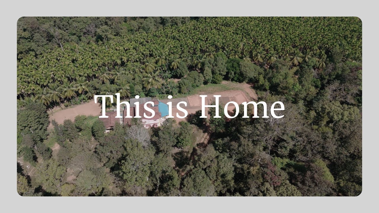 Drone Cinematic of Areca Nut Plantation & Home Surroundings