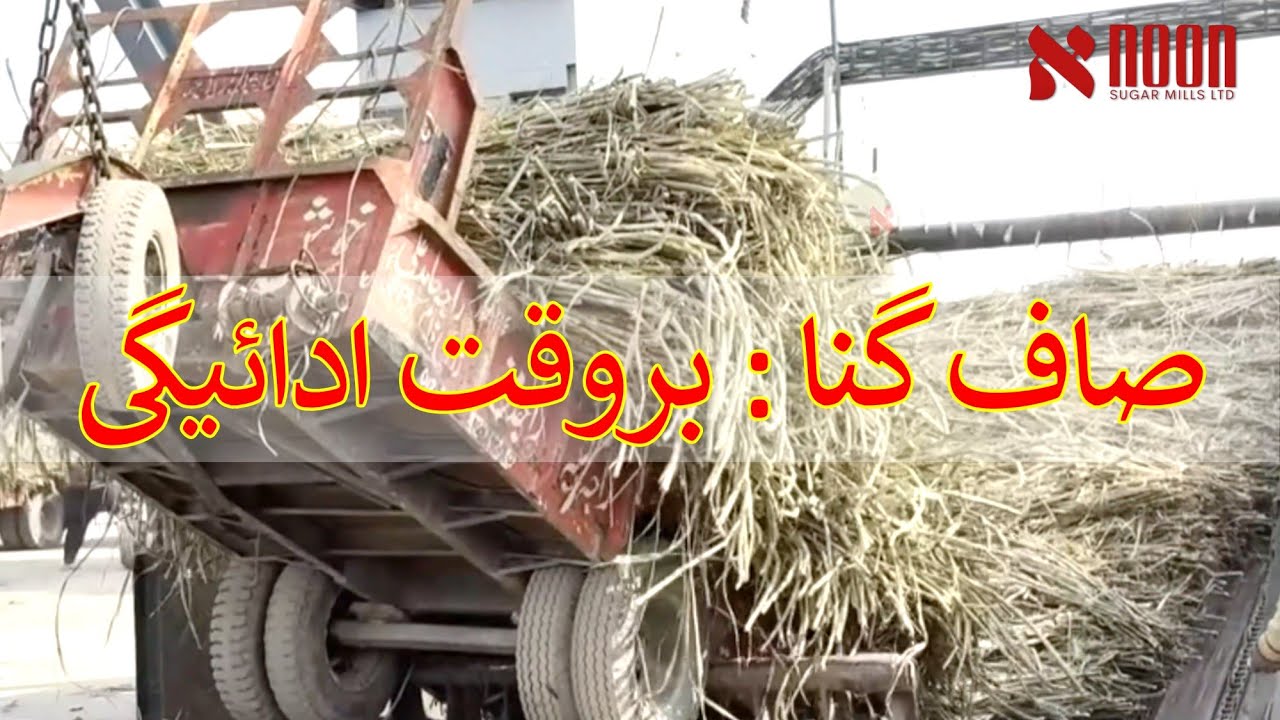 صاف گنا، بروقت ادائیگی اور بہتر ریٹ | نون شوگر ملز کا اہم پیغام کسانوں کے لیے