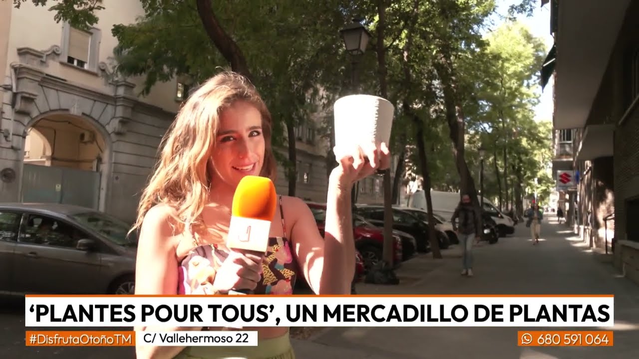 PLANTES POUR TOUS: El mercadillo de plantas low cost llega a Madrid I 'Disfruta Madrid' - Telemadrid