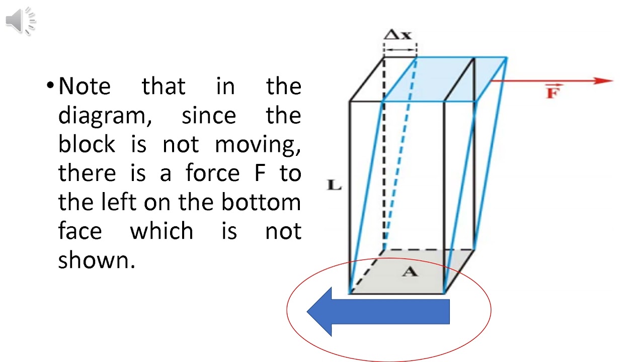 Shear Modulus