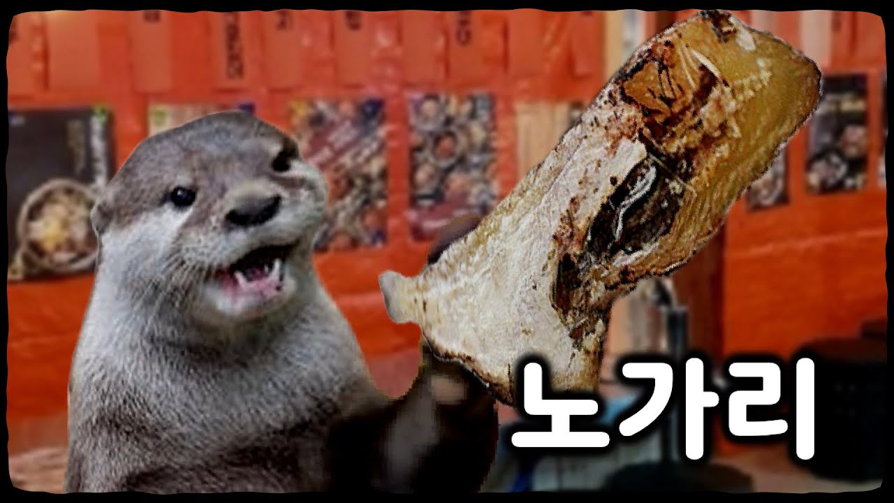 고수달 노가리 모음집1