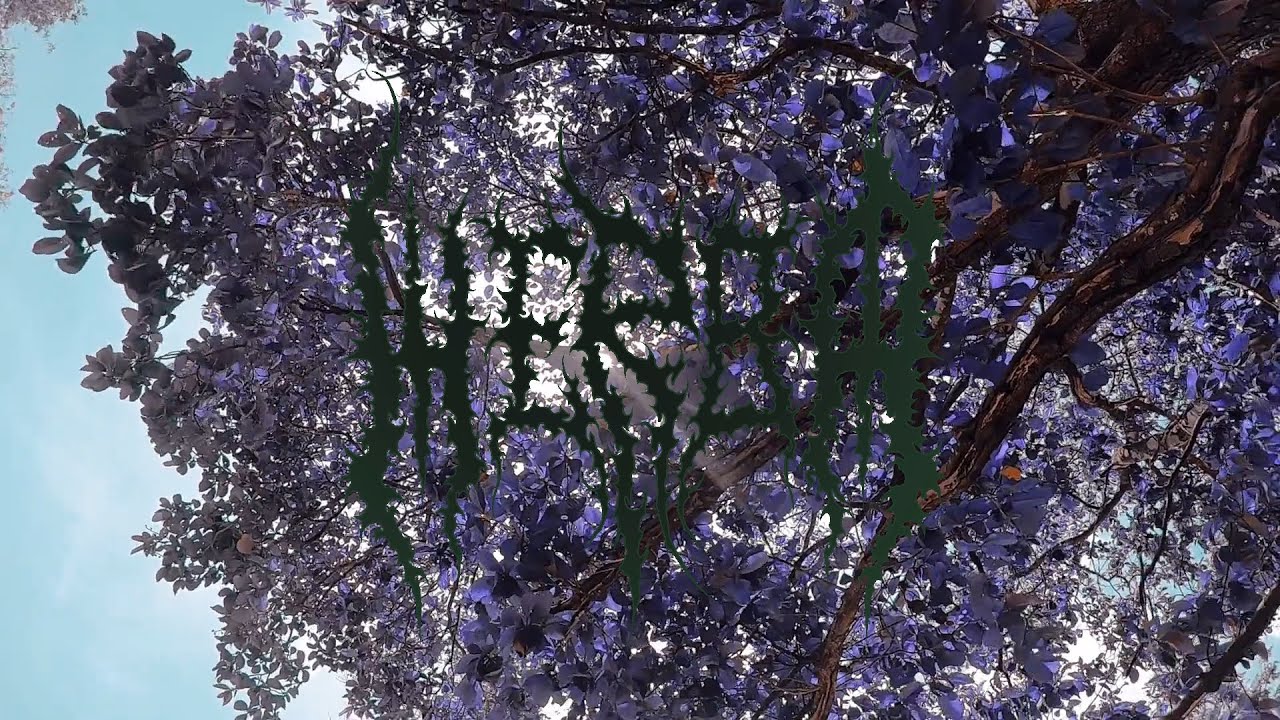 Herba - Flores secas / Flores afogadas (Lyric Video)