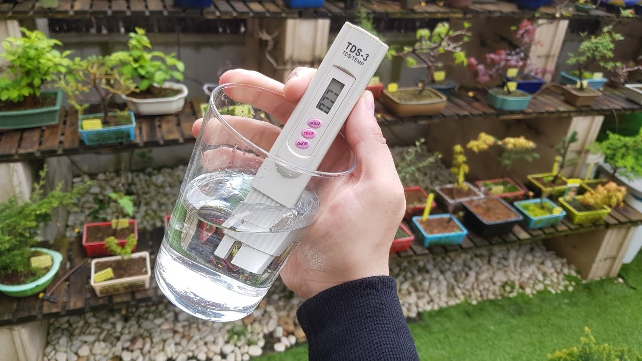 La calidad del agua de Madrid  para el Bonsai