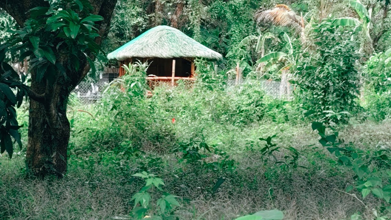 MADAMI NA ANG NAKAPAG OCCUPIED AT NAGPA KUBO.S LUPA INSTALLMENT. NOR ZAGARAY 