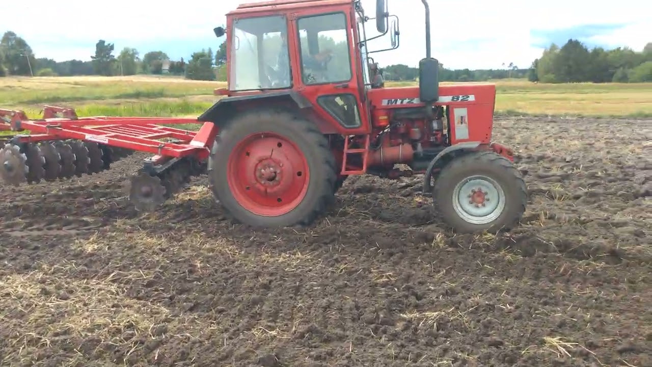 MTZ 82 + brona talerzowa Strumyk alfa x4 3,15m (23.08.2025)