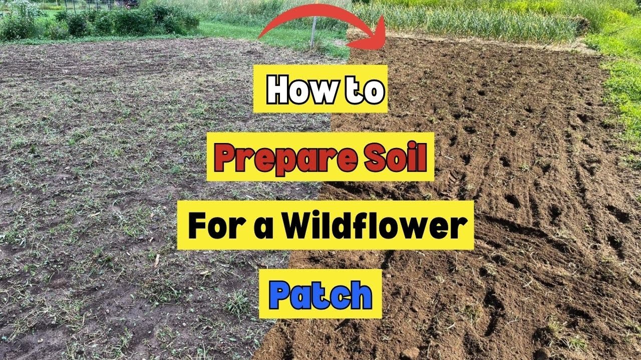 How to Prepare Soil for a Wildflower Patch