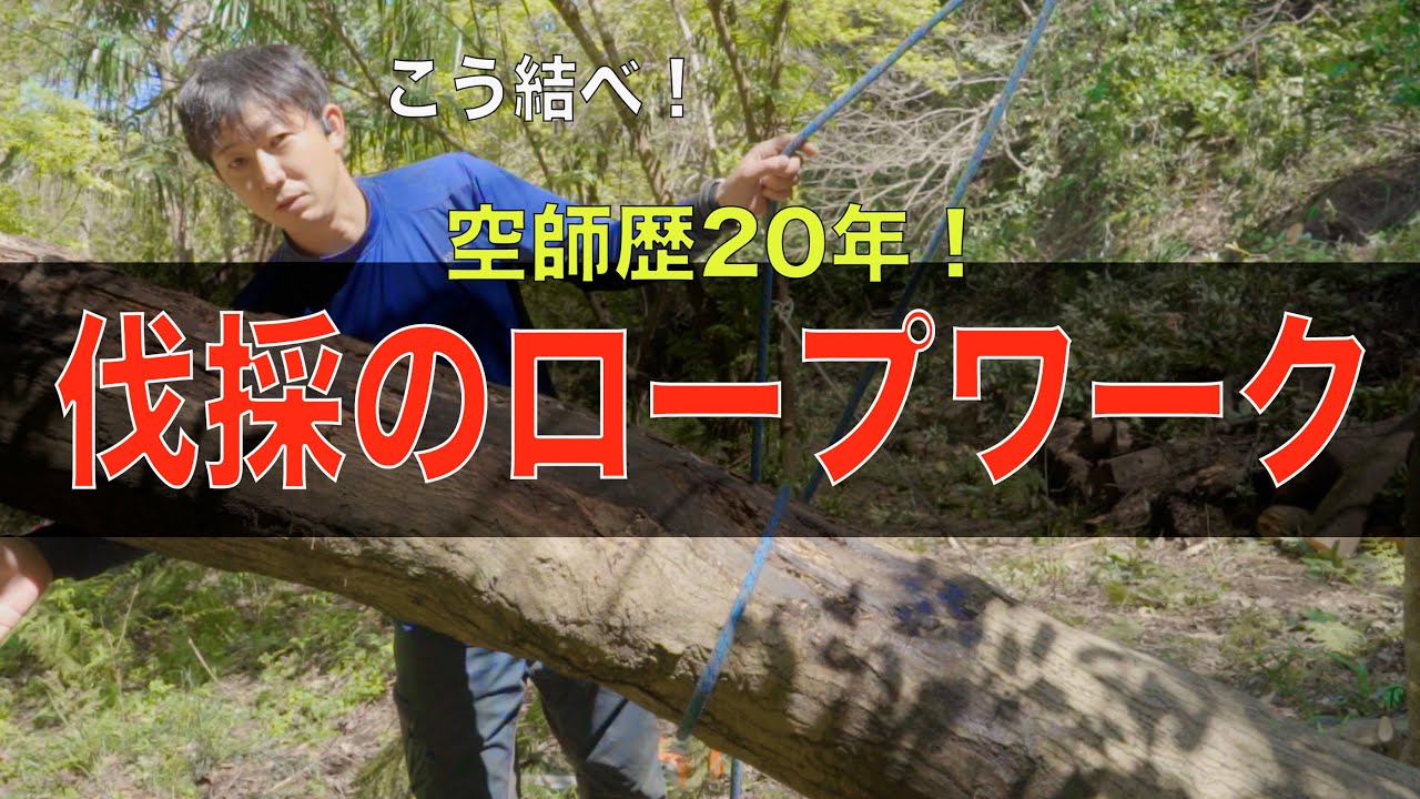 空師歴20年の男が、伐採に使えるロープの結び方を披露。