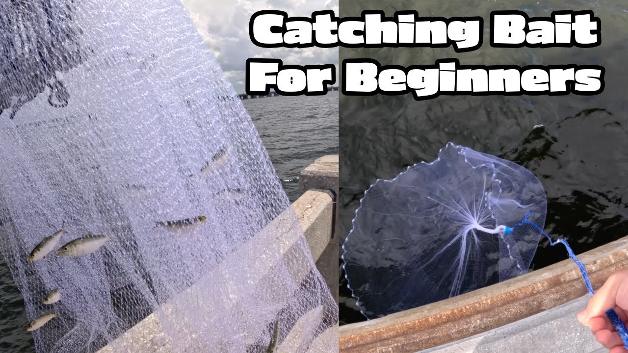 How To Catch Bait at the Skyway THE EASY WAY: Fishing for Beginners
