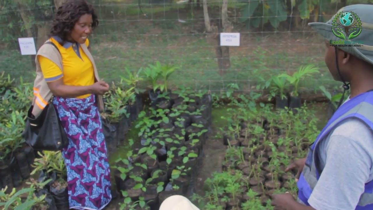 Exploring Biodiversity in DOLA | A Community and Faith-Based Approach