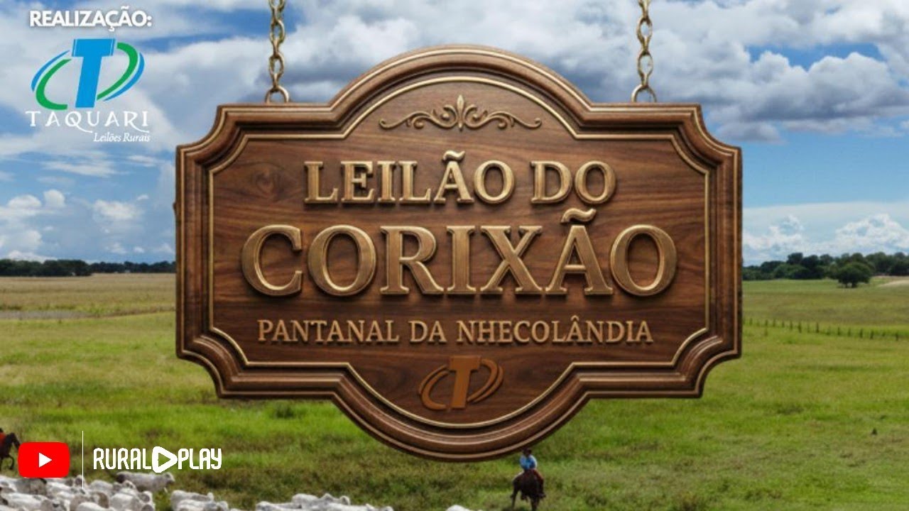 LEILÃO VIRTUAL DO CORIXÃO - PANTANAL DO NHECOLÂNDIA/MS - RURAL PLAY