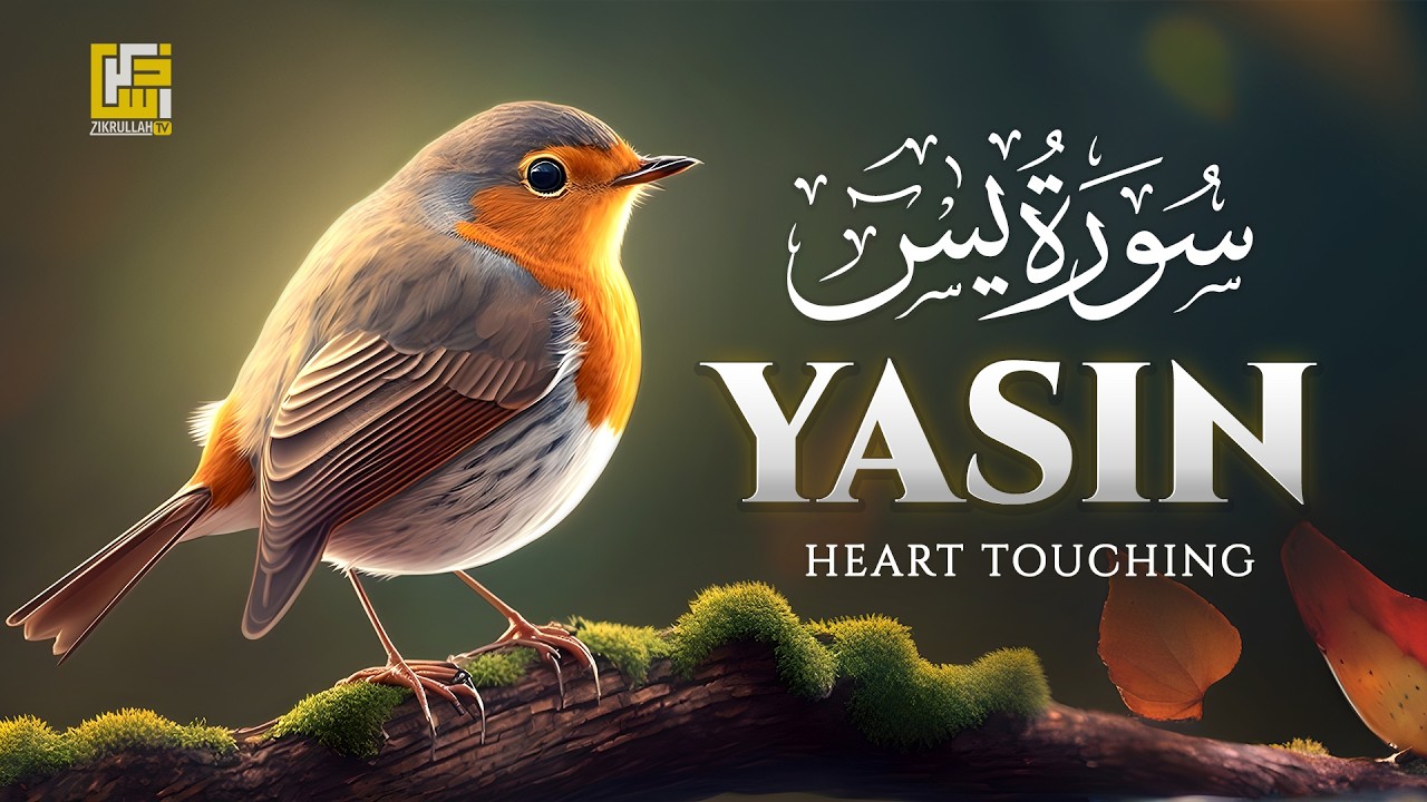 Surah Yasin (Yaseen) سورة يس | This Calm Voice Will TOUCH Your HEART إن شاء الله | Zikrullah TV