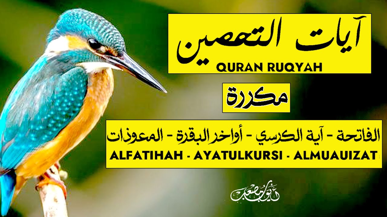 Best Quran Tilawat  | Surah Fatiha | Ayatul Kursi | Surah  Al Tahseen  | MMk Quran |  Tv Alaa Aqel