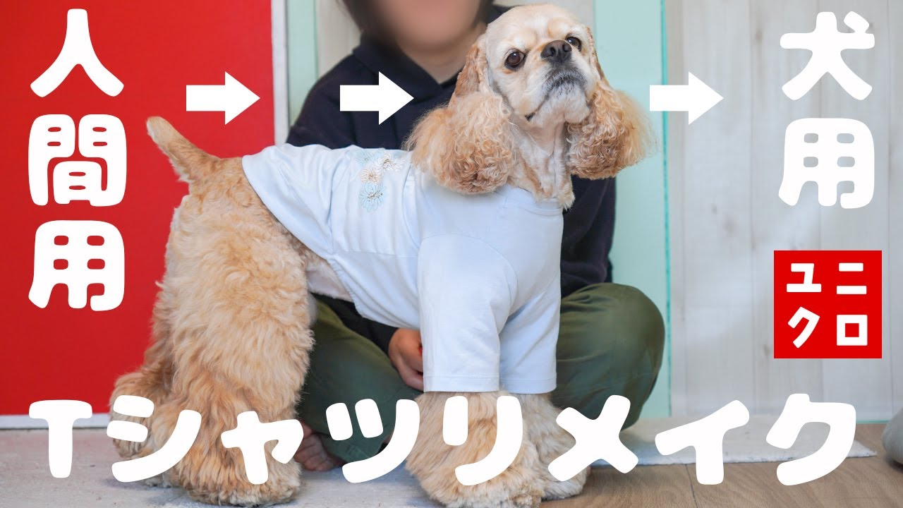 UNIQLOのTシャツを犬用にリメイクする方法