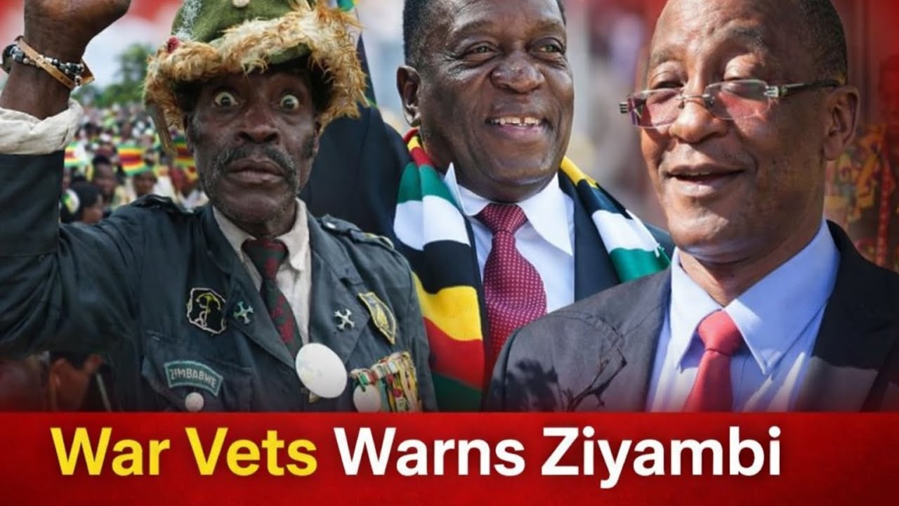 War Veterans Warn Ziyambi Over Controversial Voting Rights Remarks