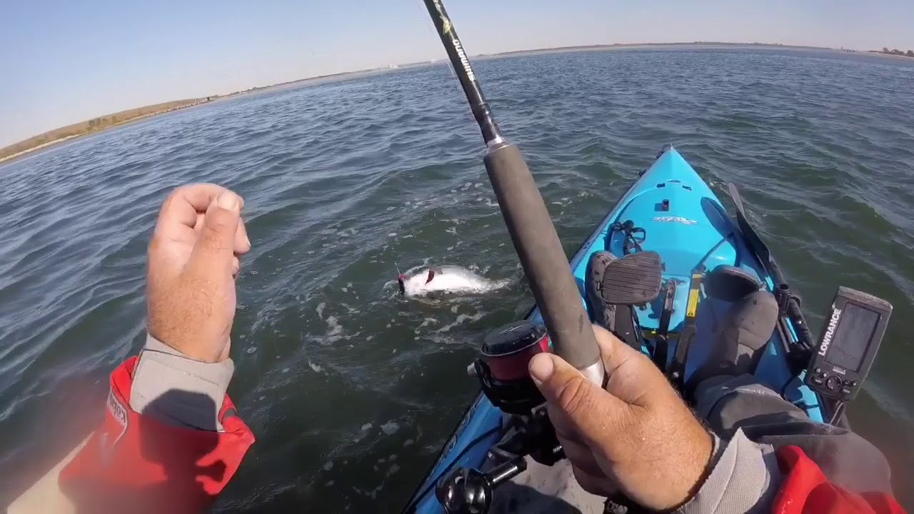 Kayak Fishing
