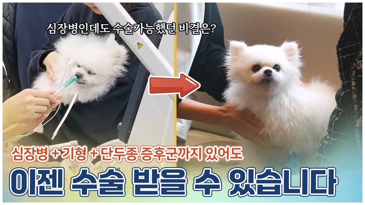 마취조차 위험했던 심장병 아이, 사랑과 치료로 되살아나다