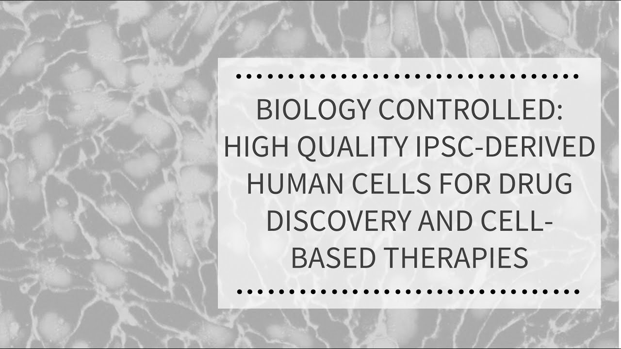 Biology Controlled: High quality iPSC-derived human cells for drug discovery therapy | REPROCELL