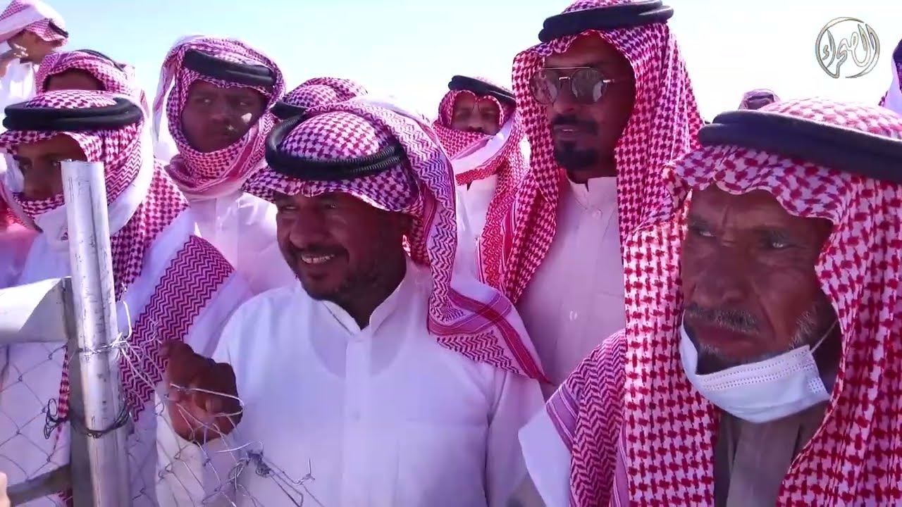 مزاين مهرجان ومزاد حفر الباطن | شوط المفاريد قعدان بكار(وضح)
