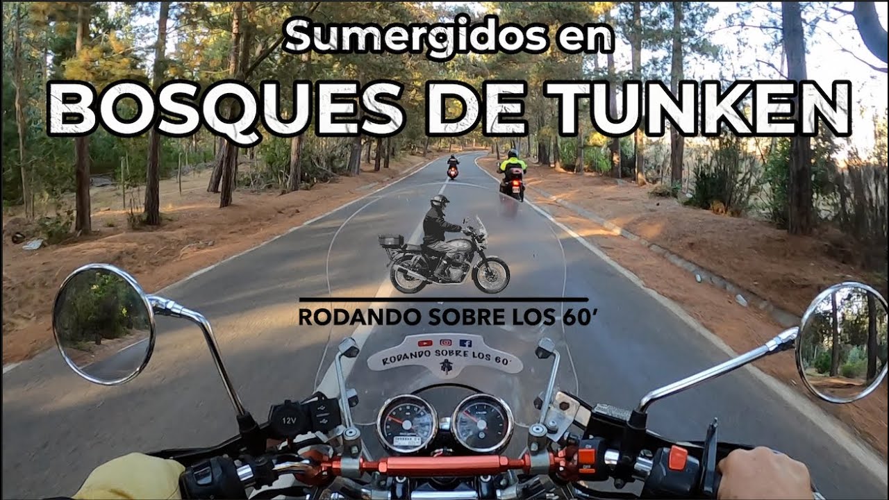 Encuentro en bosques de Tunquén I MotoVlog por Chile