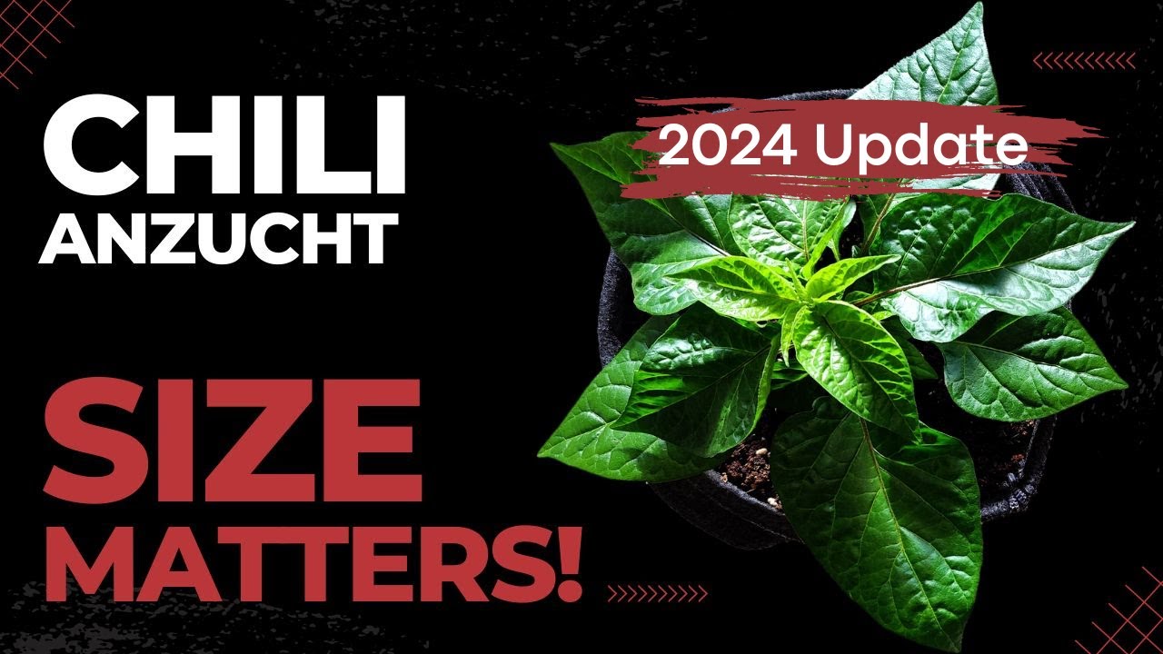 Es kommt halt doch auf die Größe an... - Saison 2024 #10