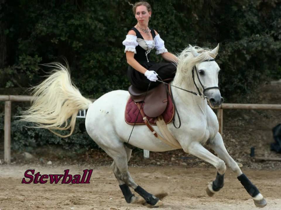 Hugues Aufray Stewball