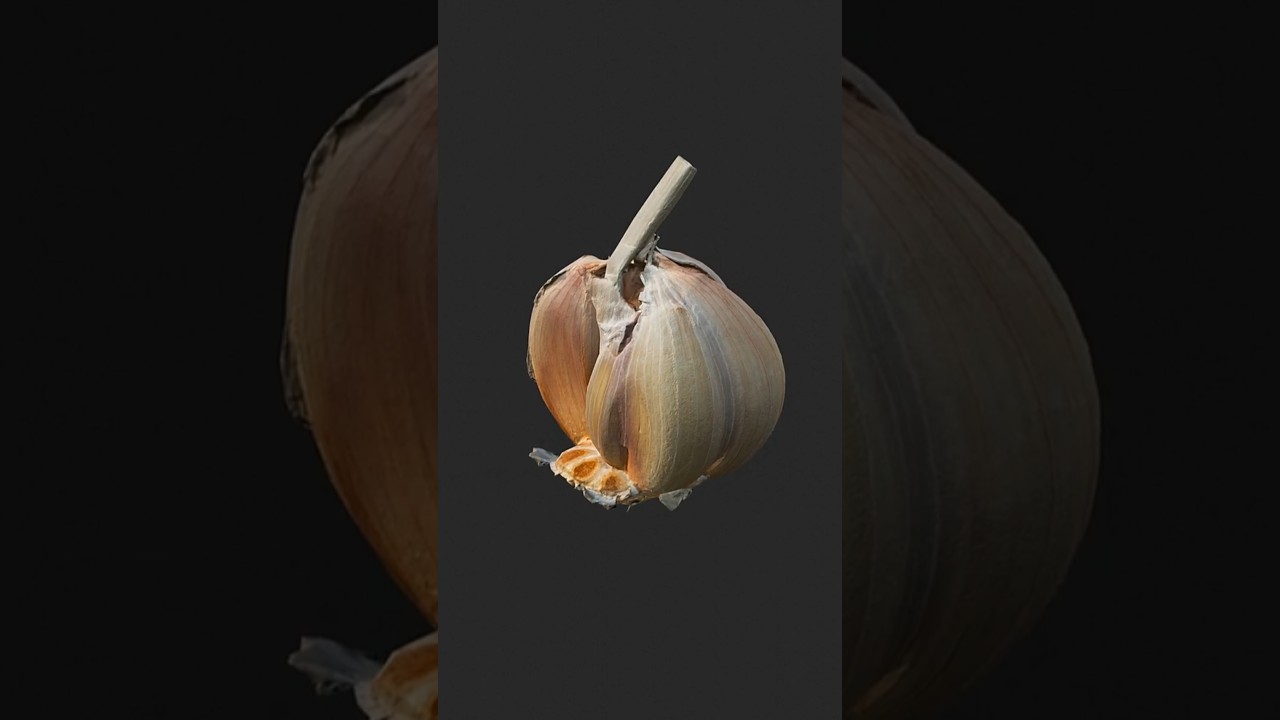 Scanning Workflow in RealityCapture and Blender! #b3d