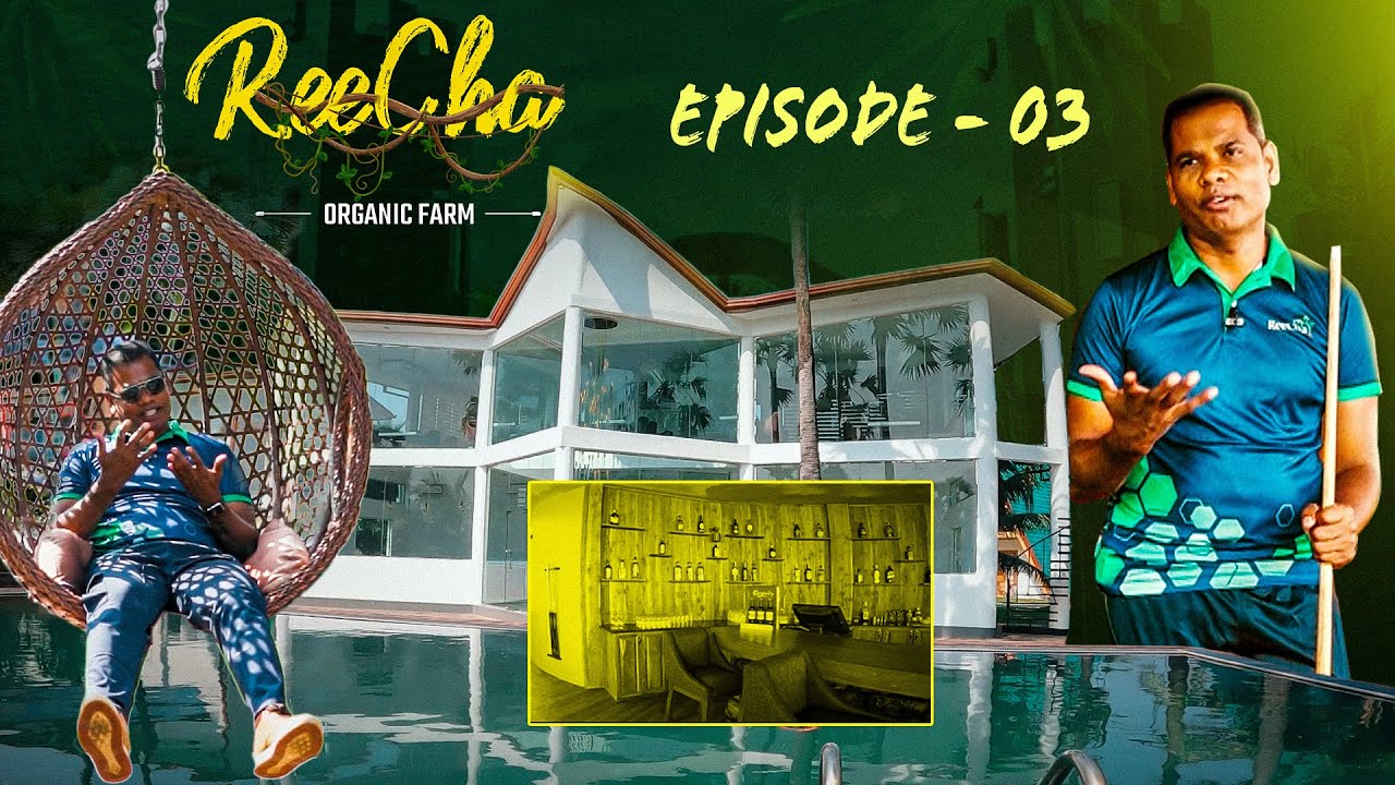 வெளிநாடுகளில் உள்ளதை போல நம்ம ஊரிலும் ஒரு Farm House | #BK in Reecha | Reecha Organic Farm Sri Lanka