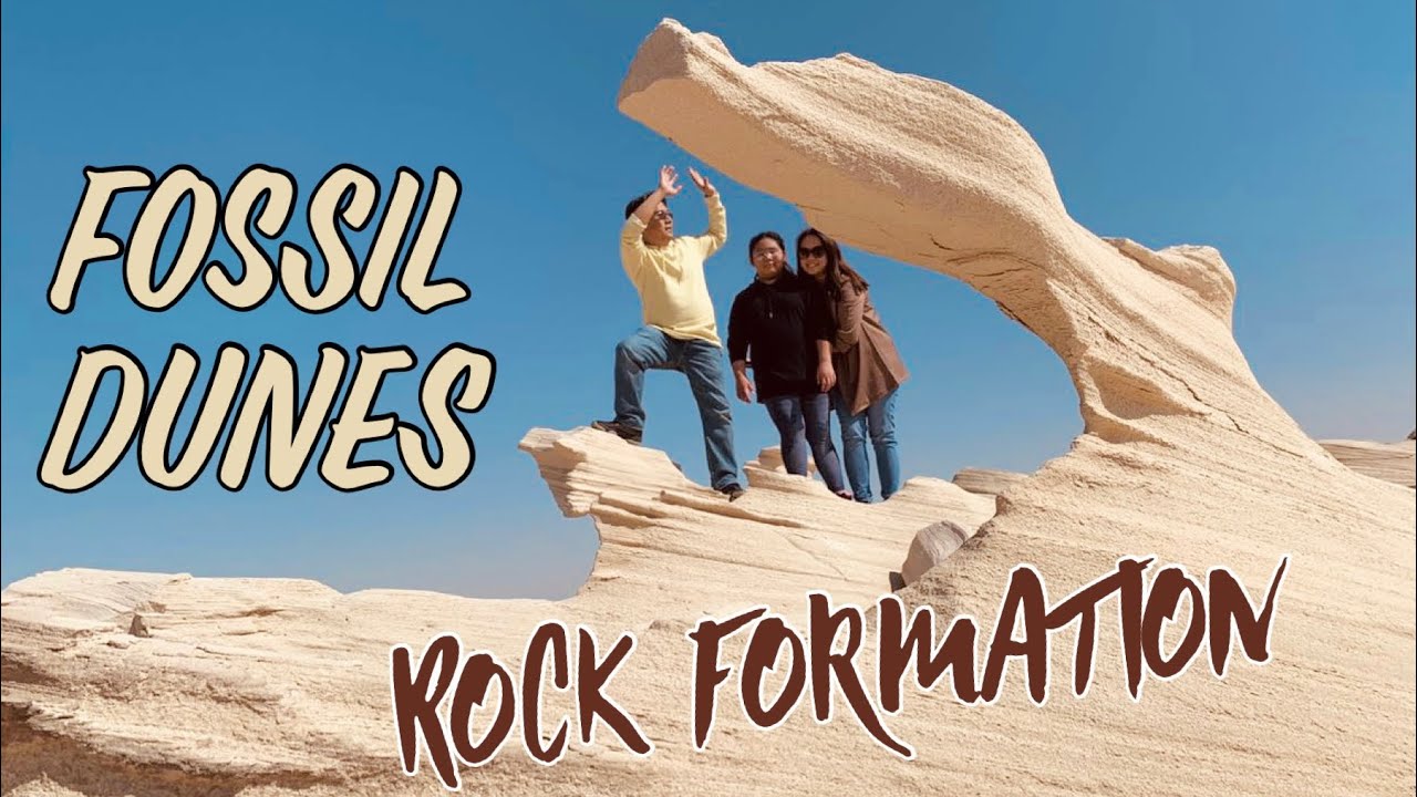 Fossil Dunes | Rock Formation