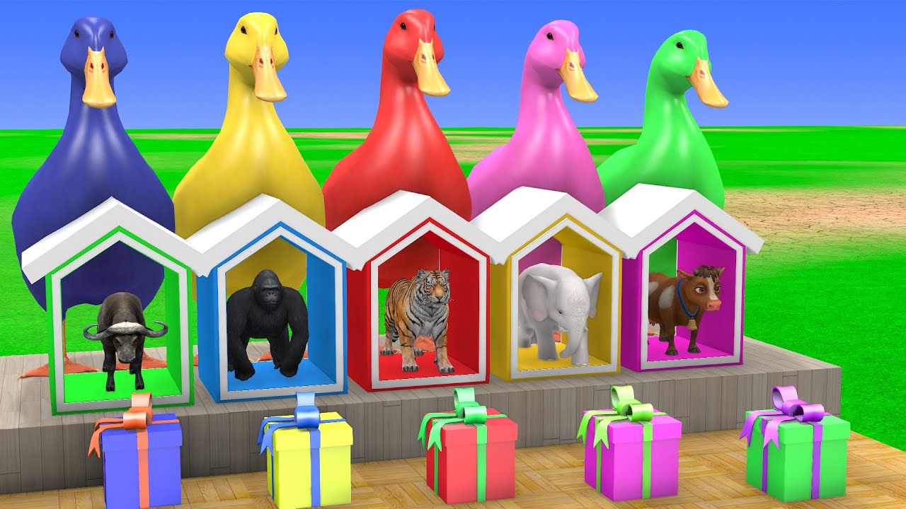 5 Giant Duck Cartoon,Cow,Elephant,Tiger,Lion,Gorilla, Paint Wild Animals Crossing Fountain Animation
