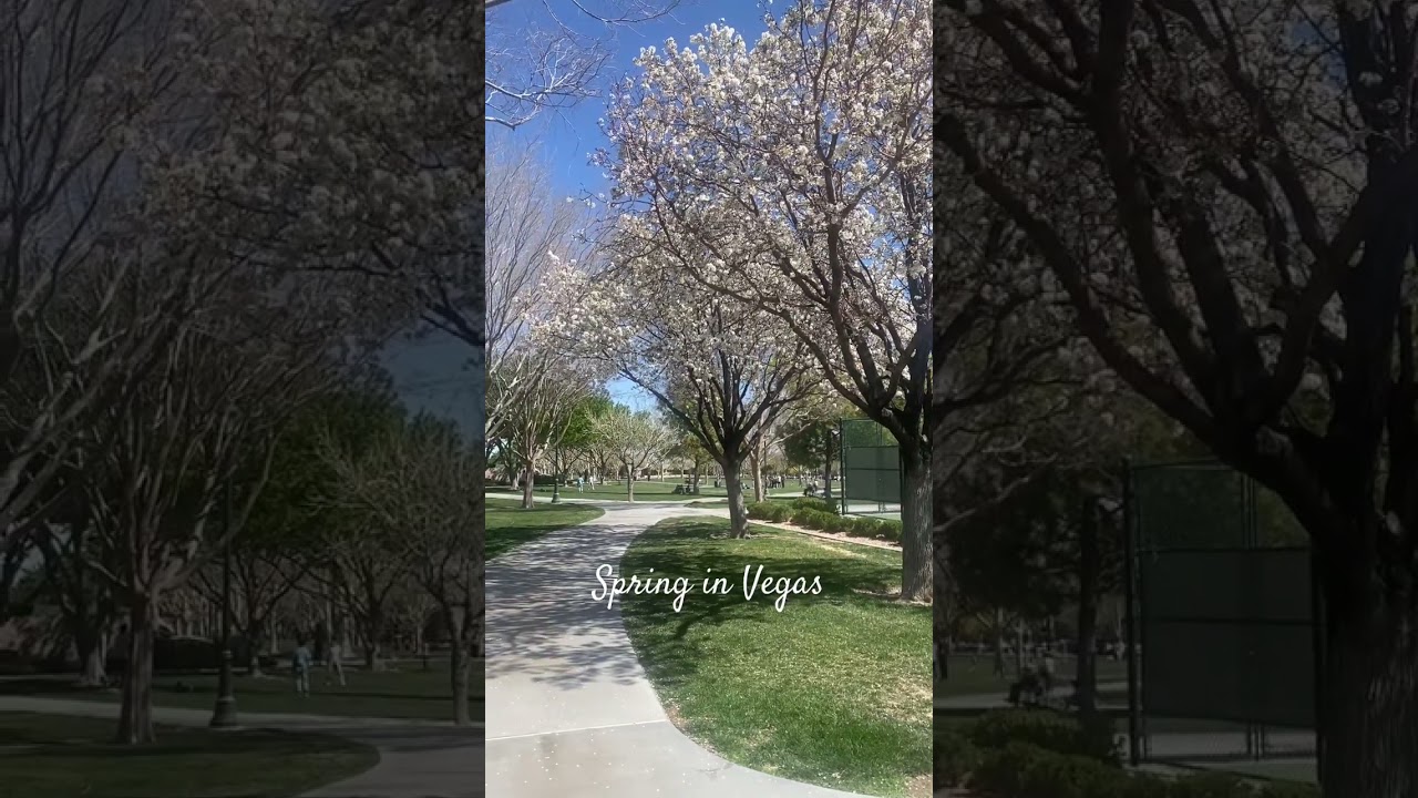 Spring is Blooming! Gardens Park in Las Vegas, NV #springtime #lasvegas #family