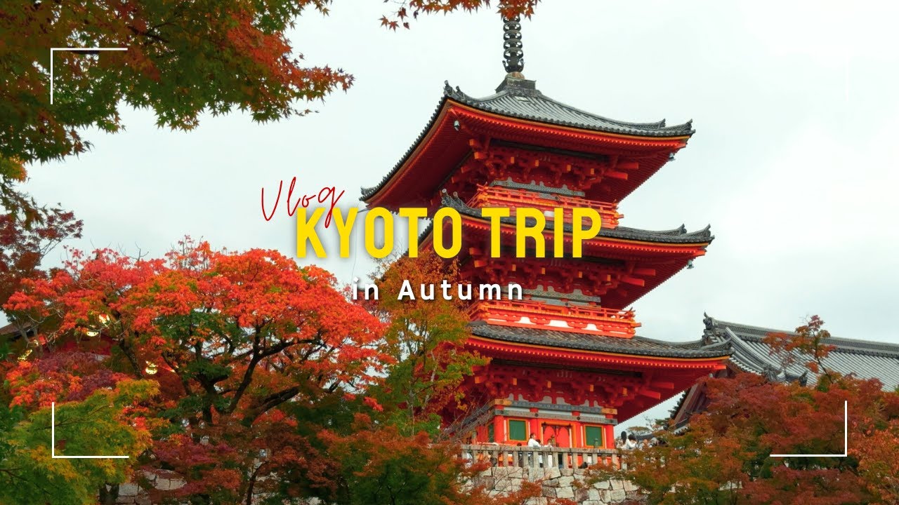 【京都Vlog】秋の京都・嵐山を土日1泊2日で満喫旅｜食べ歩き/トロッコ列車で紅葉狩り/和菓子作り体験