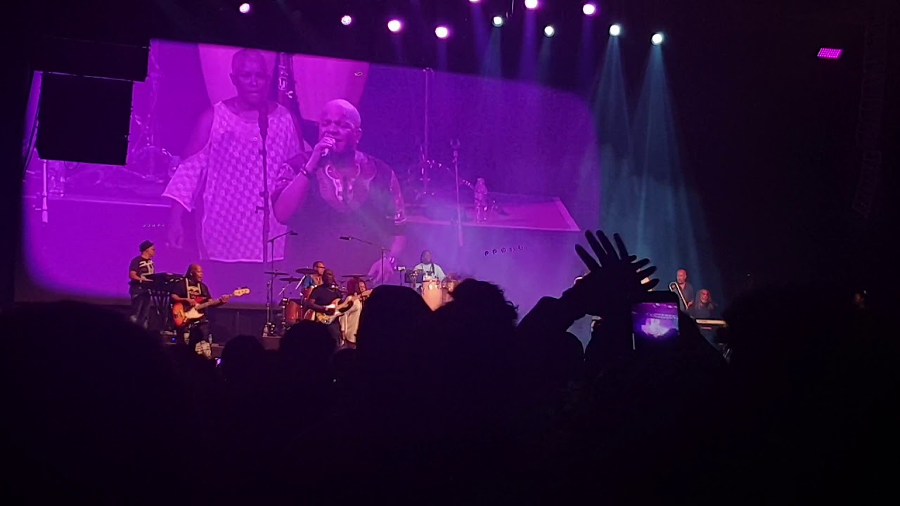 KASSAV LIVE 2019   Bel kréati
