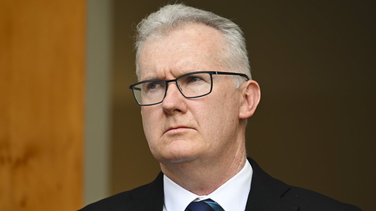 Australians should be &lsquo;concerned&rsquo; about Tony Burke&rsquo;s &lsquo;unusual&rsquo; meeting about ISIS brides