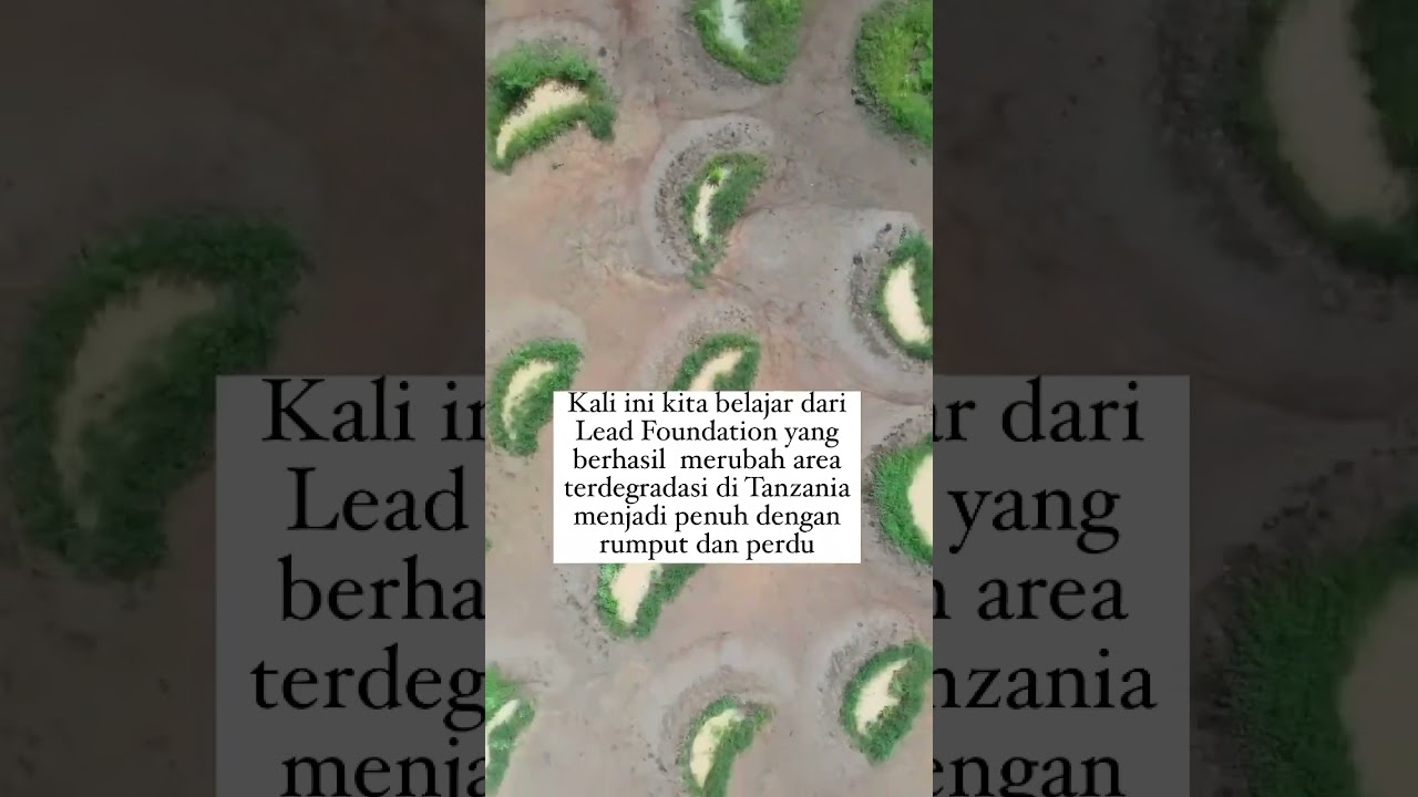 Konservasi berbasis alam untuk area padang rumput beriklum kering - cocok utk daerah mana?