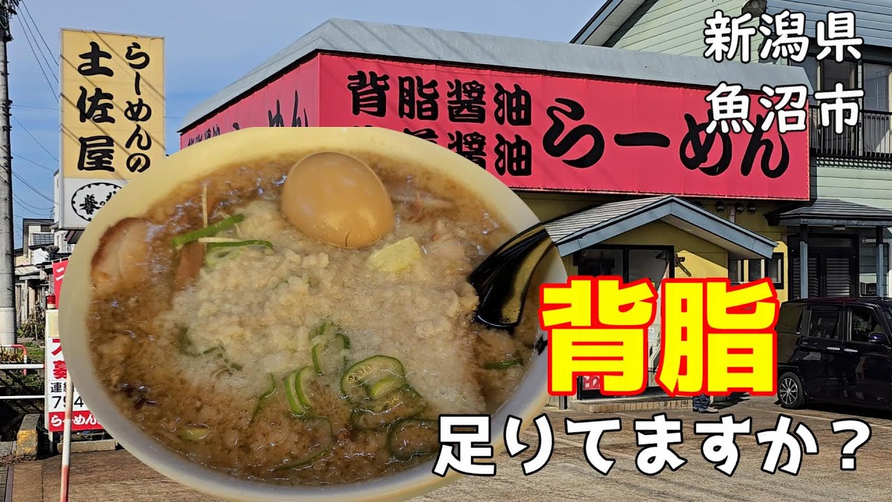 【らーめんの土佐屋】生姜醬油に【背脂チャッチャ】！【長岡生姜醬油】と【燕三条背脂ラーメン】を一度で味わえるまさに最高の一杯！