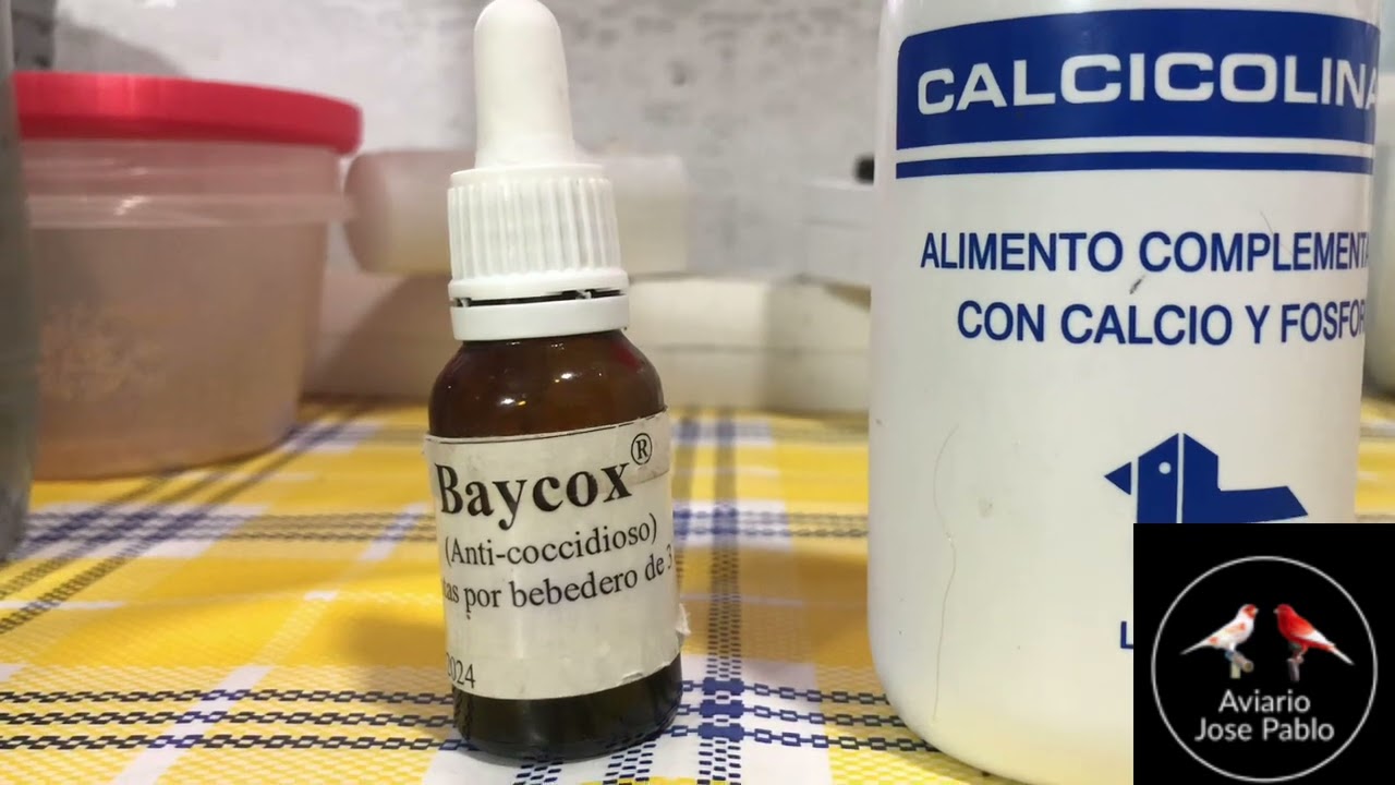 Tratamiento preventivo para la cria