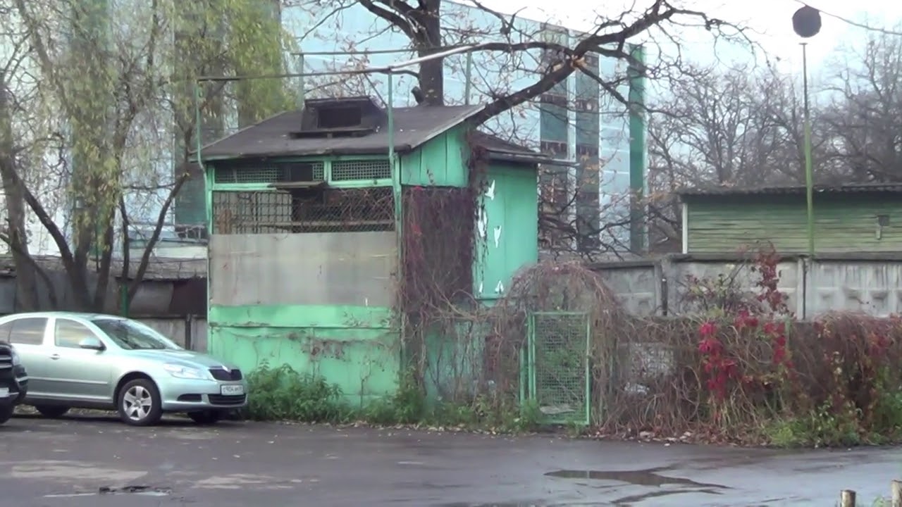 Голубеводство Москвы и Области#голуби#голубеводство#голубятня#loft
