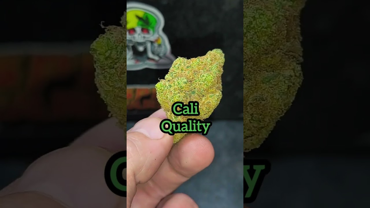 Gazzuple by Kasa Verde, 26%THC