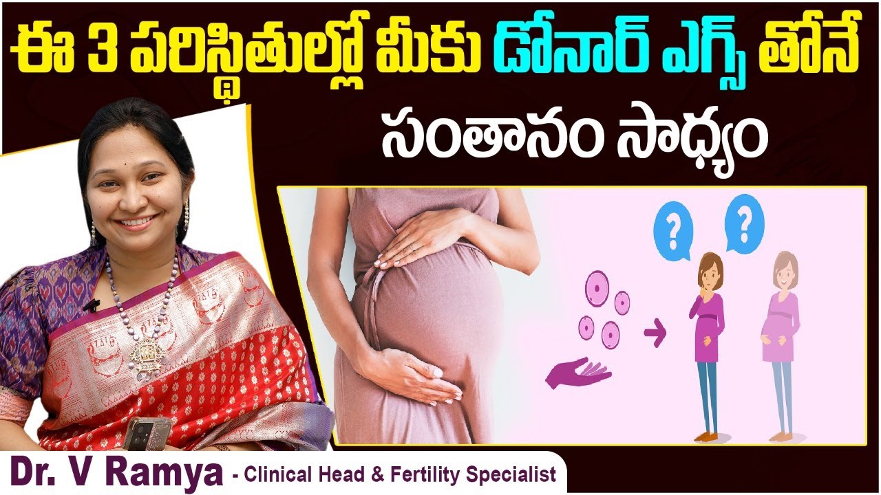 ఈ పరిస్థితుల్లో సంతానం కలగాలంటే| IVF with Donor Eggs Step-by-Step in Telugu | Oasis Fertility Guntur