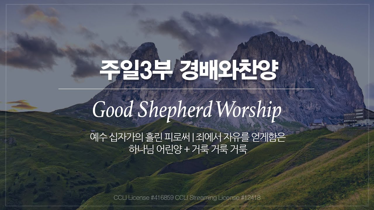 [선한목자교회] 주일 3부 경배와찬양 2026년 02월 08일 | 예수 십자가의 흘린 피로써 | 죄에서 자유를 얻게함은 | 하나님 어린양 + 거룩 거룩 거룩