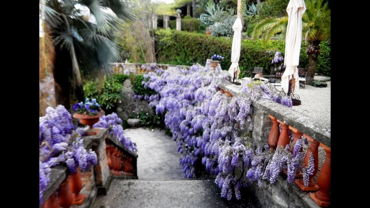 VILLA DELLA PERGOLA ALASSIO