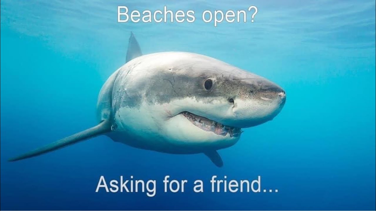 FUNNY MEMES TO MAKE YOU LAUGH 2020/Coronavirus memes/Covid-19 jokes/Try not to laugh Challenge/#2